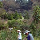 비금농장 이미지