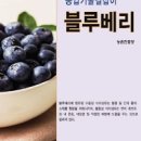 블루베리 효능 건강하게 살빼기 딱이에요! 이미지