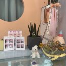 댕댕찹찹 이미지