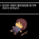 꾸요일
