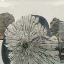 청송수석꽃돌박물관 이미지