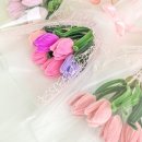 모루 꽃다발 이미지