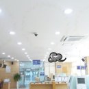 금성전기 이미지