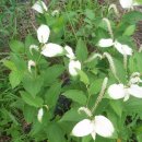 민속한의원 이미지