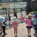 근산유치원 이미지