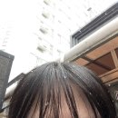 (주)오엠지 | 센과 치히로의 행방불명(후기) 그리고 내 일주일도 행방불명