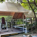 둥지펜션 야영장 이미지