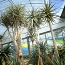 꽃회사농장 이미지