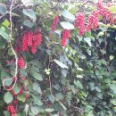 방동농장 이미지