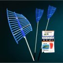 피라미다 이미지