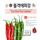 신비너스 이미지