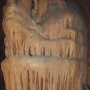 단양한우 목장 이미지