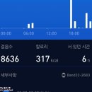 블링수 이미지