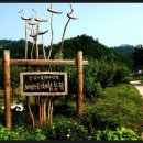 성애농장 이미지