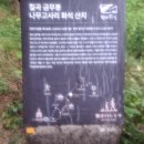 칠곡 금무봉나무고사리화석산지 이미지