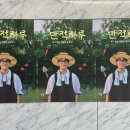 씨스퀘어(C-SQUARE) | 2025 그_냥 여름 콘서트 &#39;냥만적 하루&#39; 공연 후기 (씨스퀘어)