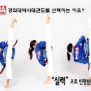 경희대광교태권도장 네이버블로그