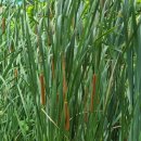 시민문화체육공원 산책로 이미지