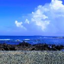 망장포구 이미지