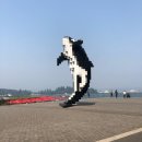 국제조류학회 IOCongress 2018 참가 후기