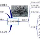 "그리스 신화 " 영어 어원의 기원이자 인류 정신의 보고 ver. #1 이미지