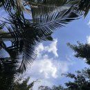 [8/29] 오늘을 연결하는 징검다리 명언 이미지