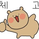 성내동퀵서비스 이미지