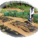 신월농장 이미지