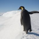 동상약국 이미지