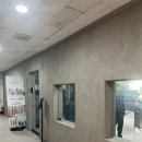 성남대로 | 분당 정자동 비롬헤어 카나토 클리닉 후기, 세은 쌤