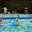 어린이회관 수영장 이미지