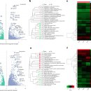 Re: '대변통과시간 - saccharolysis--＞proteolysis, 장내 미생물 구성과 활동성 2022년 이미지