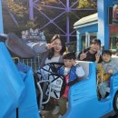 백호경희대태권도 이미지