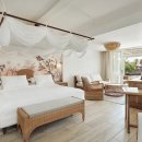 파라다이스 코브 이미지