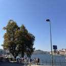 포르투 해물밥 Tempero D Maria 템페로 드 마리아 실망후기,빌라노바 드 가이아 맛집아님..