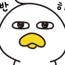 파트너상용모터스