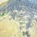 전포1동-11 이미지