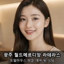 지식인력개발형태 | 경기 광주 테라스하우스 월드메르디앙 라테라스 홍보관 갔다가 계약하고 싶었던 후기