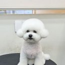 붕가붕가샵 이미지