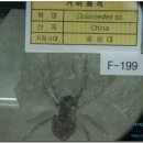 주필거미박물관 이미지