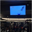 회기24 | 운동 루틴 새로 세운 날, 경희대헬스장 무브짐 24시 헬스 PT 회기휘경점 후기