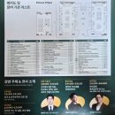 ♣︎호주대사관 유학박람회 후기 및 내가 찾다 정리한 내용들