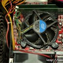LION PC 이미지