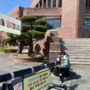 대구대 벚꽃 영광유치원 + 비호동산 ( 숲놀이터 )