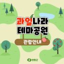 안산솔밭길산악회 8/30일 다섯째주 일요일에.영동 포도축제 특별여행 이미지