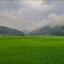 백암-6 이미지