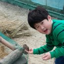 유희태농장 | 올 여름은 피톤치드 가득 내뿜는 &#39;민들레동산 힐링센터&#39;에서 힐링!