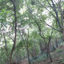 금평 농장 이미지