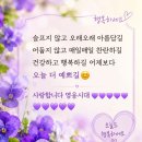 인터파크(놀) 이미지