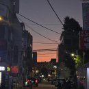 군청 메타세콰이어길 | 1박2일 담양 뚜벅이 여행 - 관방제림/국수거리/죽녹원/메타세콰이어길